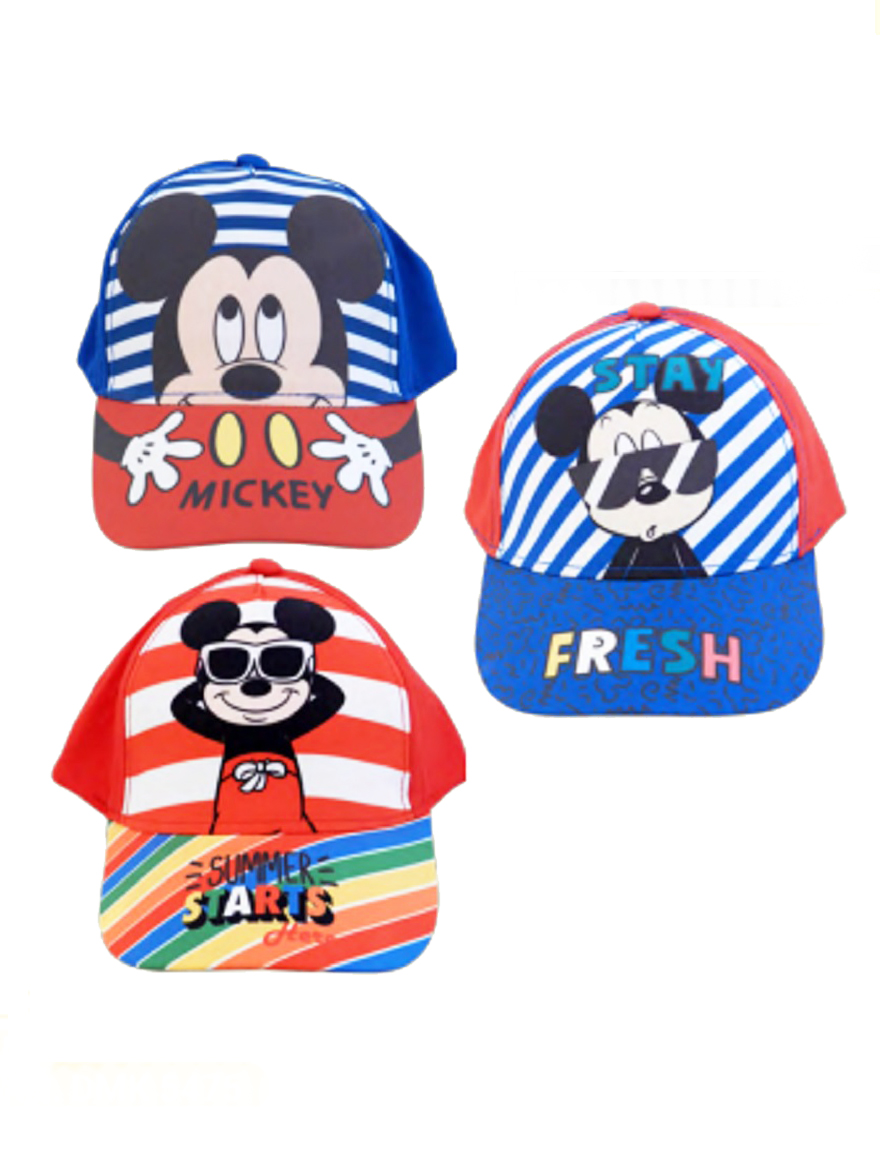 GORRO ART.5475 MICKEY REGULABLE
Talles: REGULABL