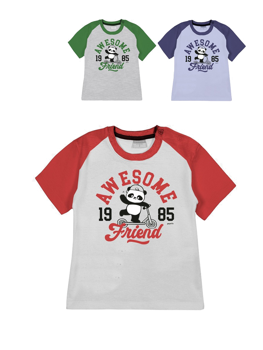 REMERA ART.263301 T.24/36/48M BEBE MANGA RANGLAN CON EST AWESOME FRIENDS
Talles: 24 A 48M