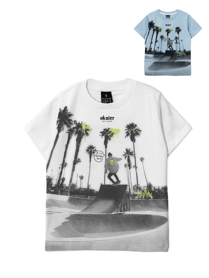 REMERA ART.267306 T.12 VARON  CON EST. FOTOGRAFICA SKATE
Talles: 12