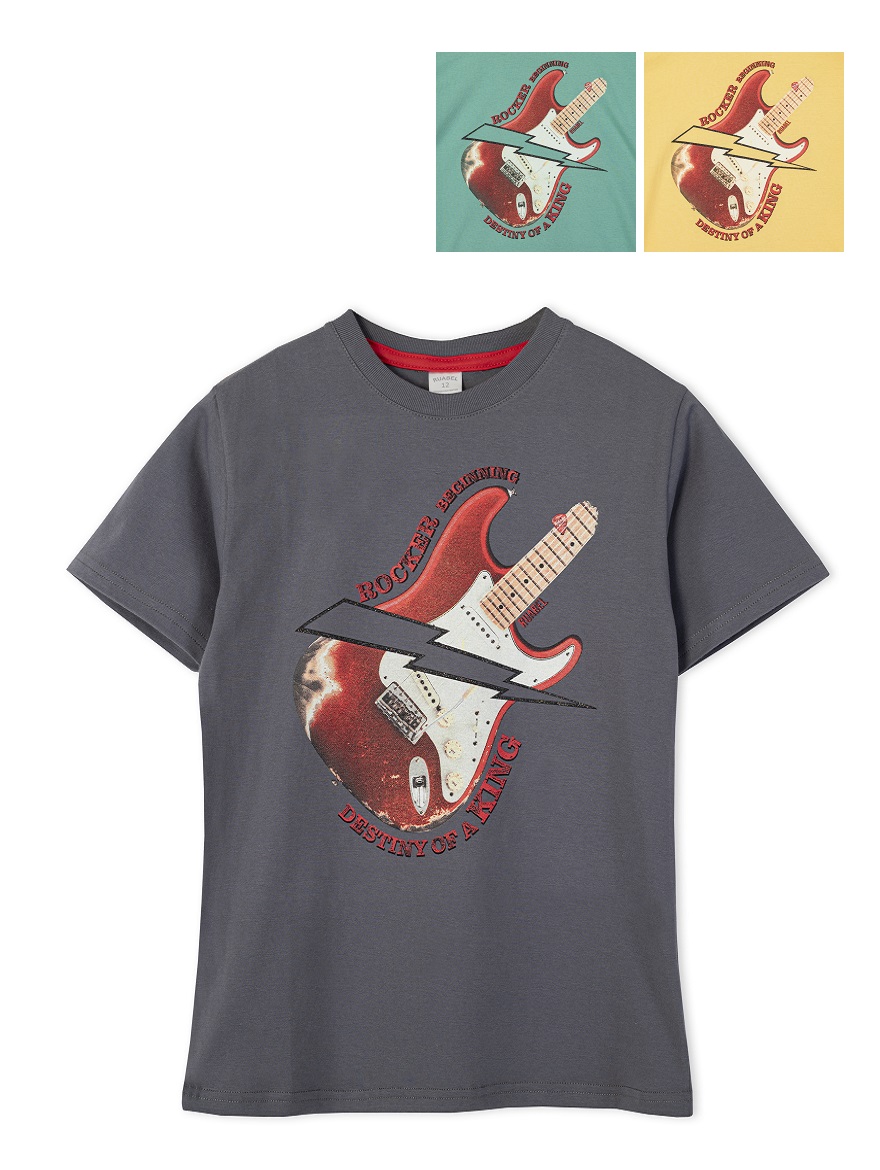 REMERA ART.3958 T.8/10/12/14/16 VARON CON ESTAMPA GUITARRA
Talles: 8 A 16